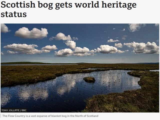 Scottish Bog 2.jpg