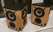 Screen Dipole Speaker.png