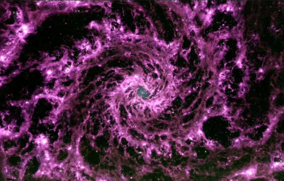 Screenshot 2022-07-19 at 20-56-44 11eb974c60e506b5a1fc76cb47578193 webp (WEBP Image, 960 × 612...png