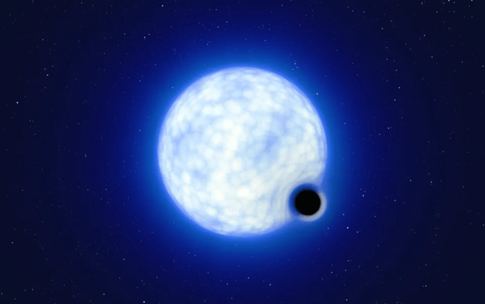Screenshot 2022-07-20 at 08-50-38 0c40e5091bdd8104fdc9e1de2a231b33 webp (WEBP Image, 960 × 601...png