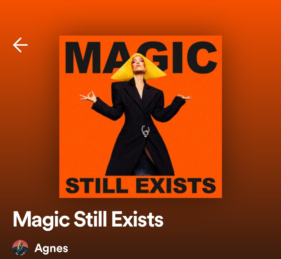 Screenshot_20230109_004017_com.spotify.music~2.jpg