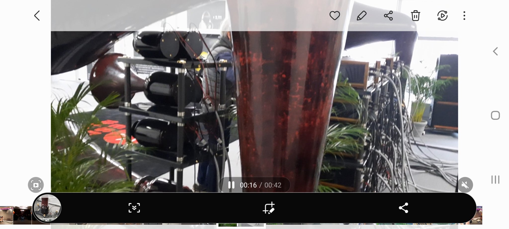 Screenshot_20230521-164436_Gallery.jpg