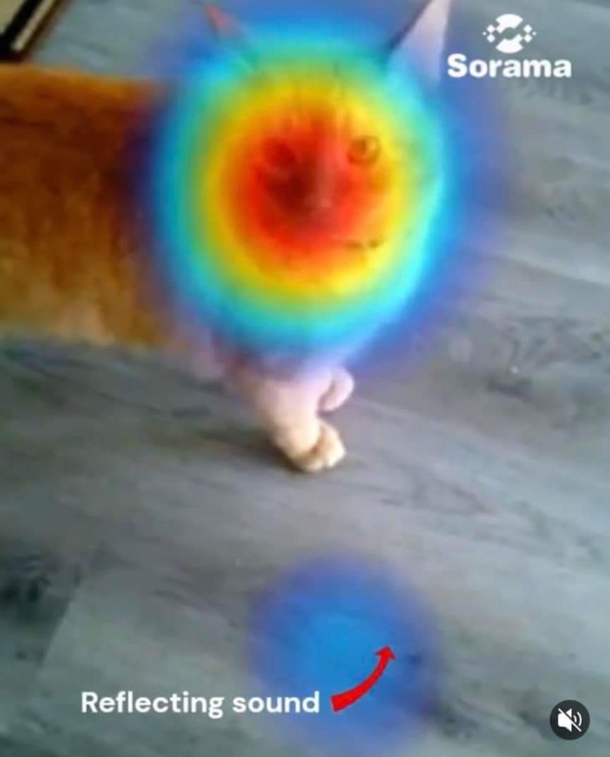 Screenshot_20240305-010436~2.jpg
