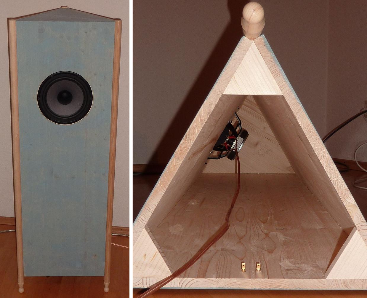Seas_FA22RCZ_in_Open_Speaker_Cabinet.jpg