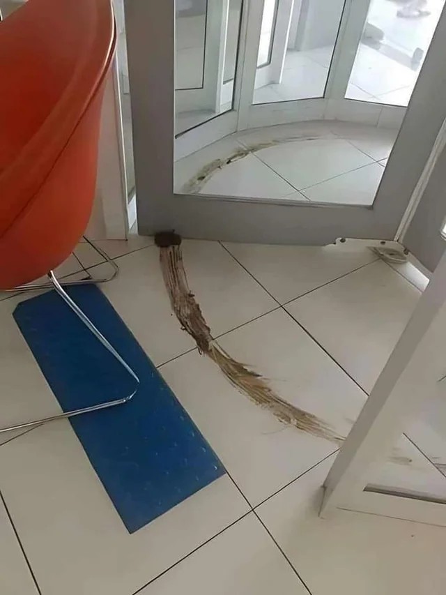 shitty revolving door.jpg