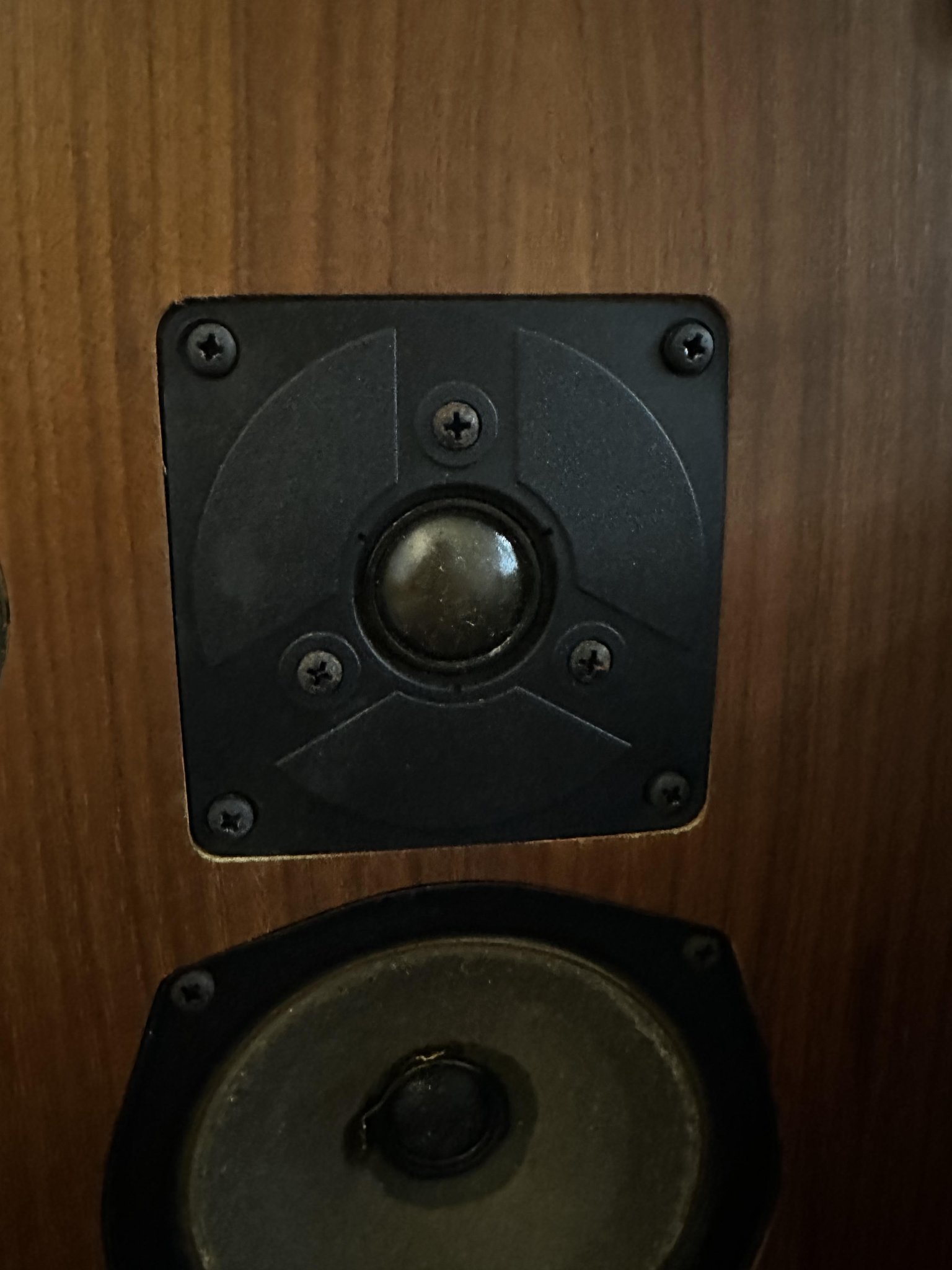Signifer Tweeter - Isophon 25mm circa 1980.jpg