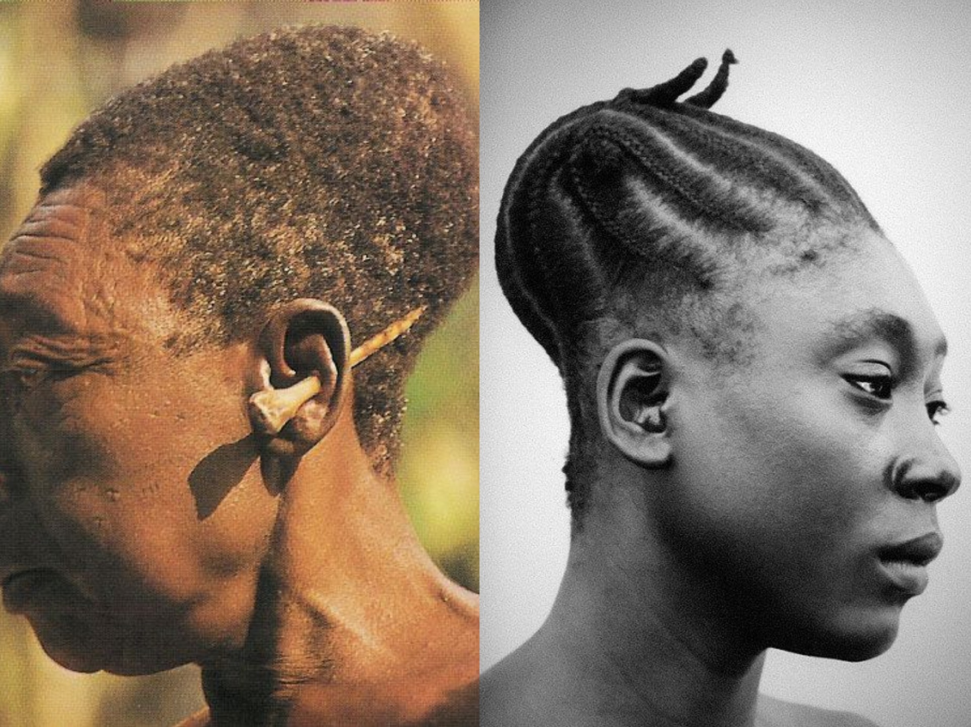 skull_elongation_africanwritershq-1936785806.jpg