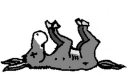 Small Dead Donkey.png