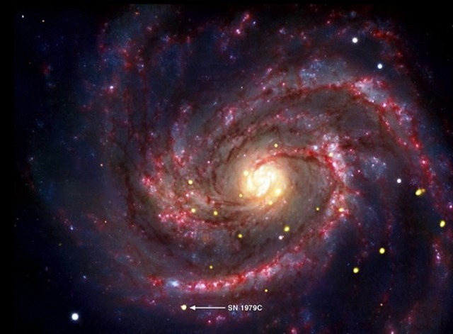 SN 1979C.jpg