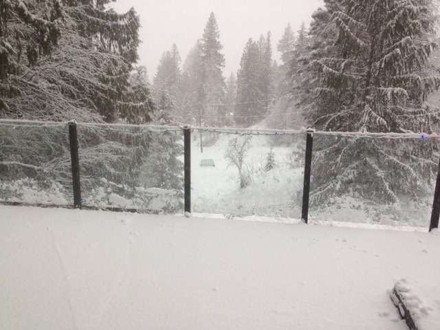 Snow.JPG