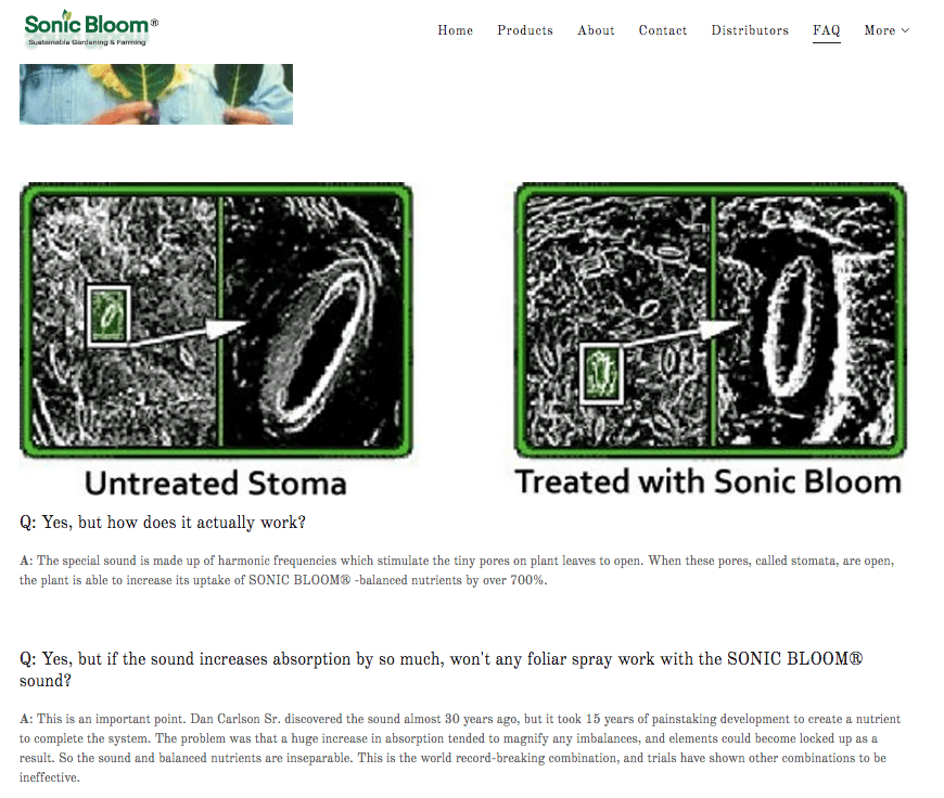 Sonic Bloom.png