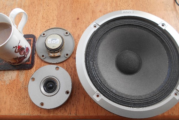 Sony Drivers E44 speaker.jpg