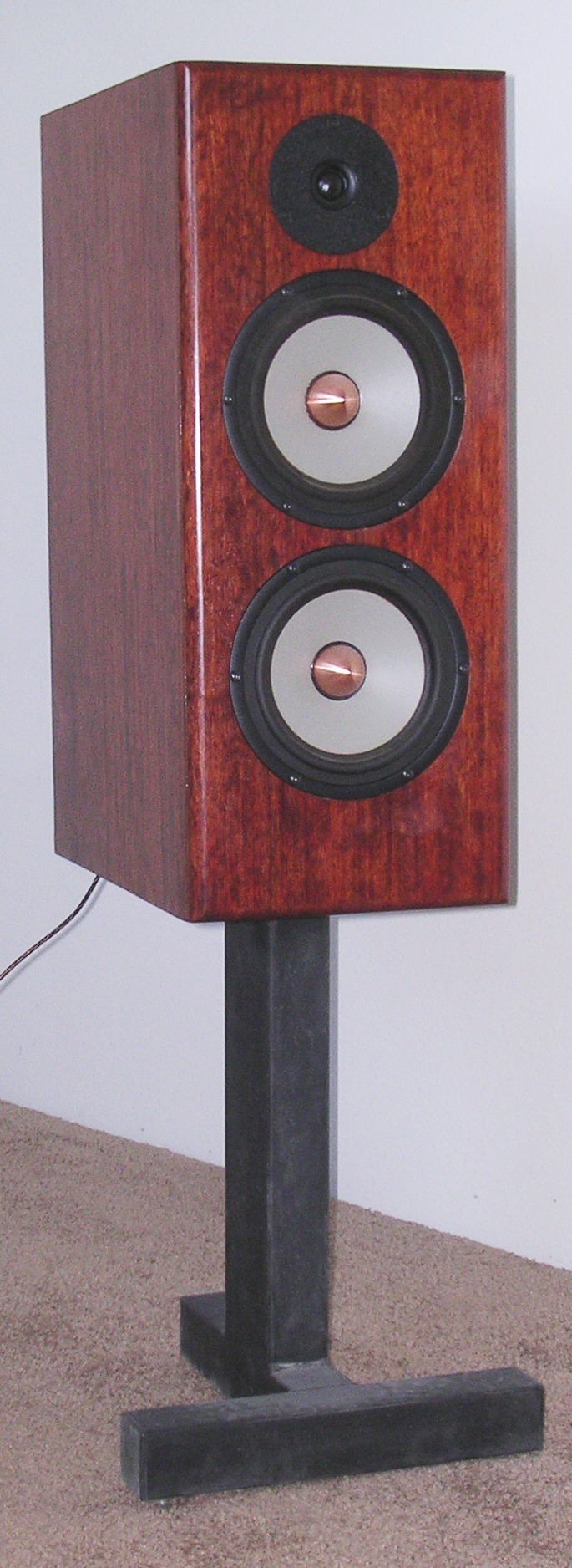 speaker 6.JPG