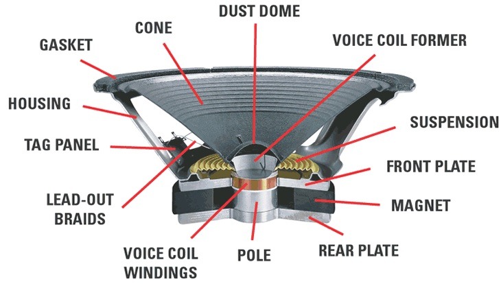Speaker Section.jpg