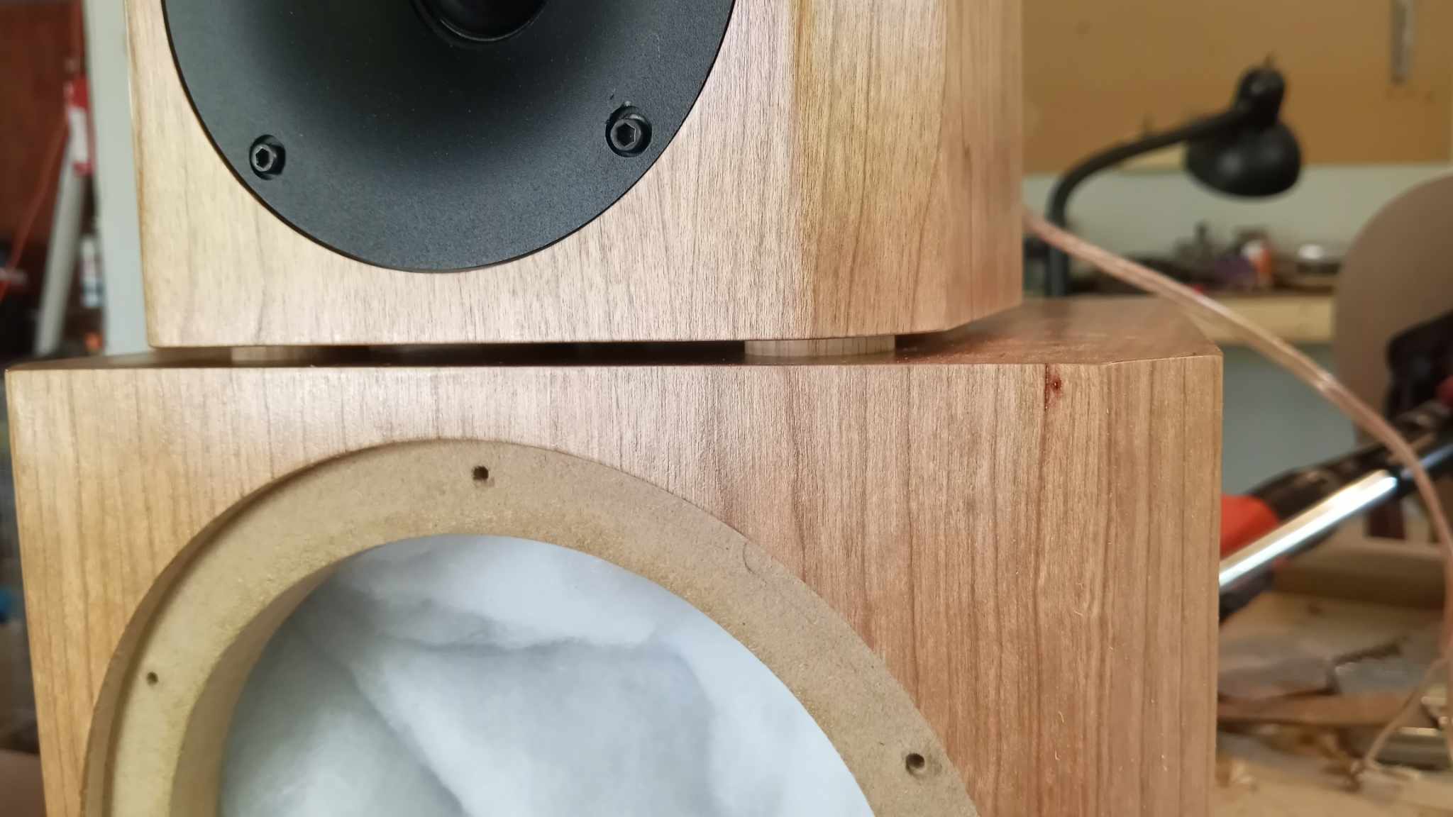 speaker with mounts.jpg