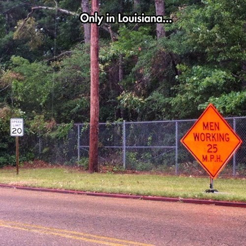 SpeedTrap.jpeg