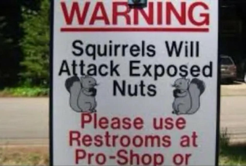 SquirrelsWillAttackExposedNuts.jpg