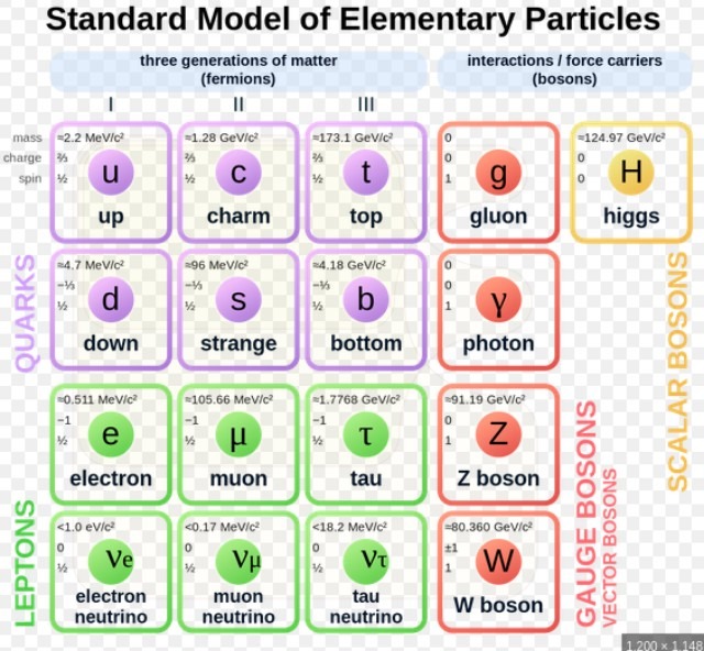 Standard Model.jpg