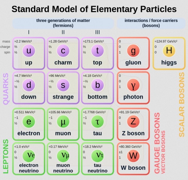 Standard Model.jpg