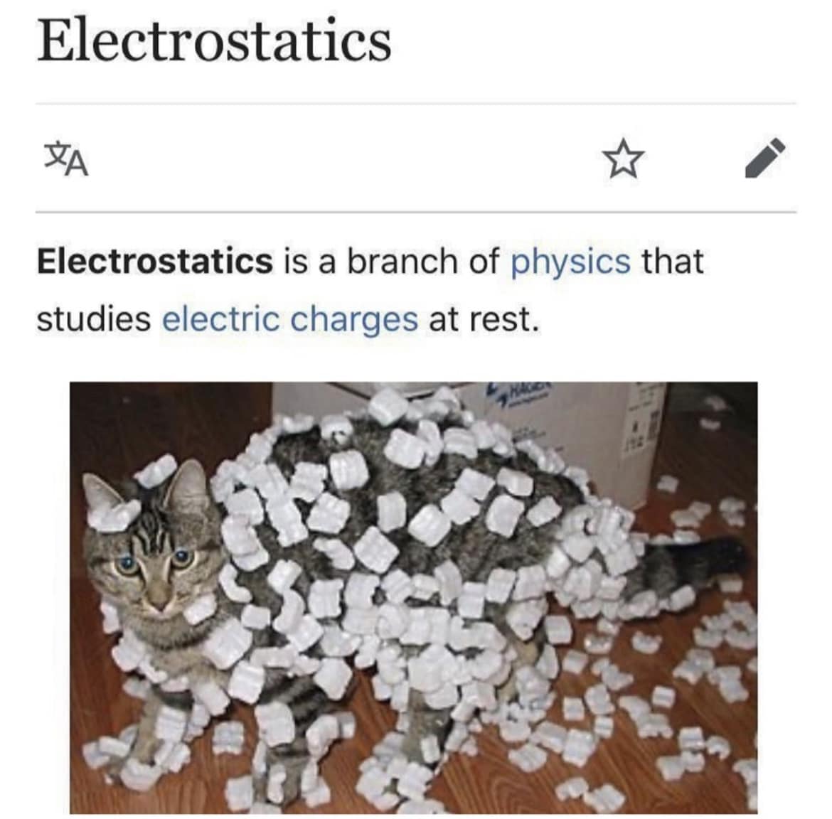 stat.jpg