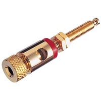 stecker.jpg