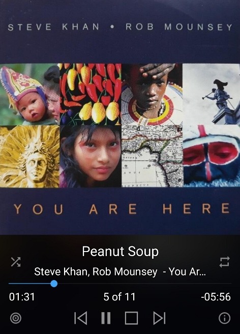 Steve Khan - You Are Here.jpg