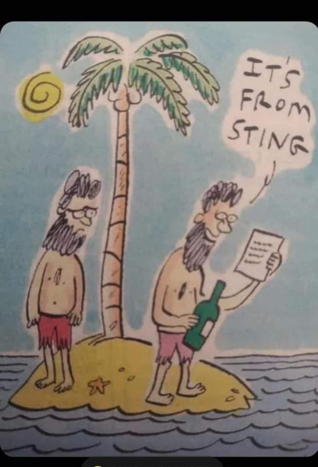 Sting bottle.jpg