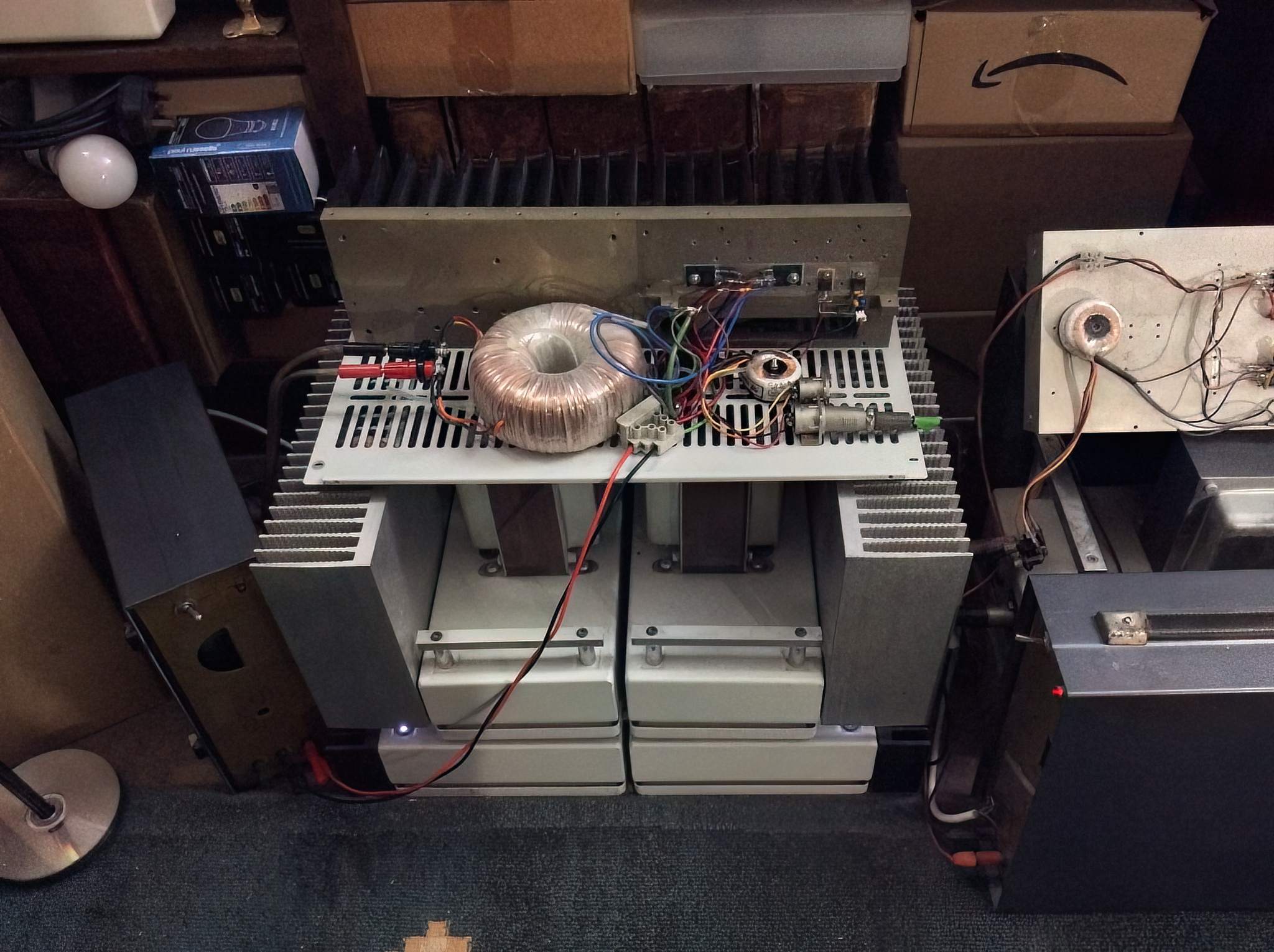 susan-bass-amp-toroid-output-depletion-fets-1-DeNoiseAI-low-light.jpg