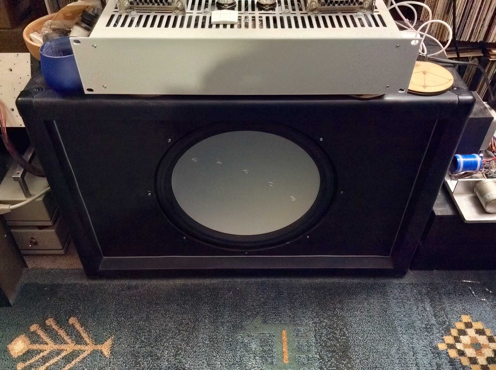 susan-vibe-space-dual4ohm-voicecoil-direct-drive-bass-speaker-1-DeNoiseAI-low-light.jpg