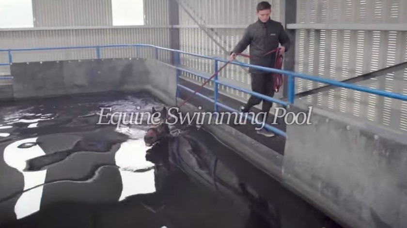 Swim Training.jpg