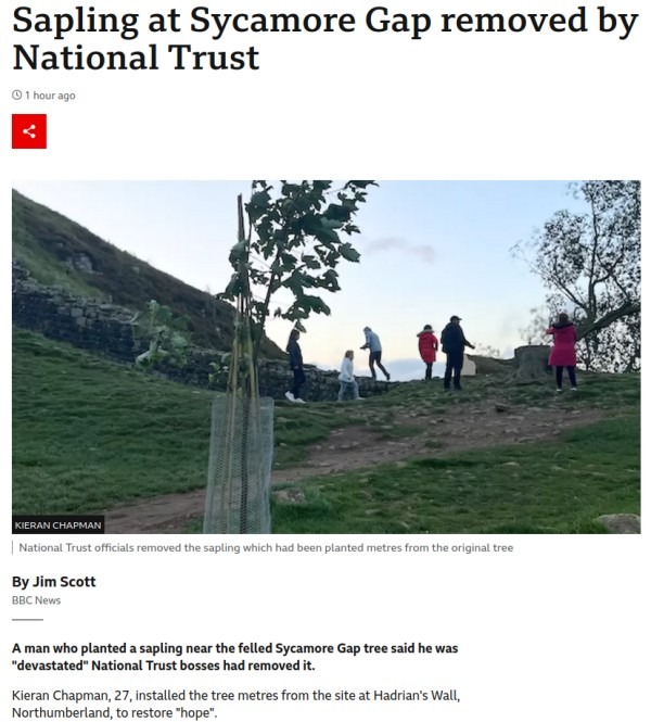 Sycamore Gap Events.jpg