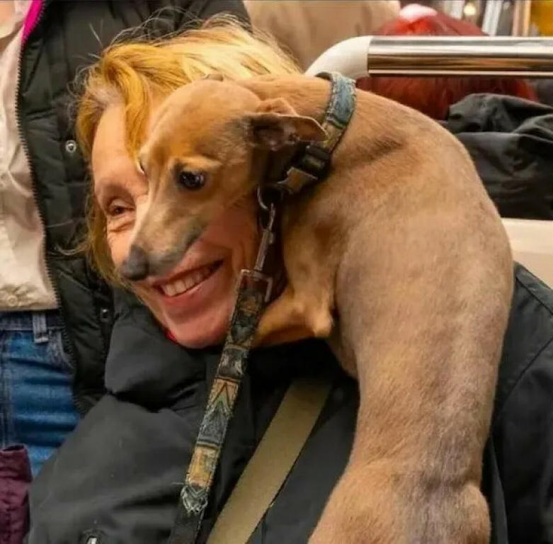 TakesAwhileToSeeTheDog.jpg