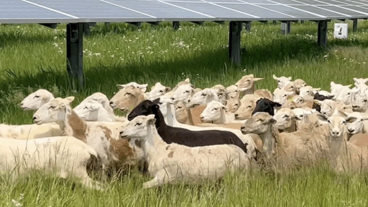 tempImagen7KSM0.gif