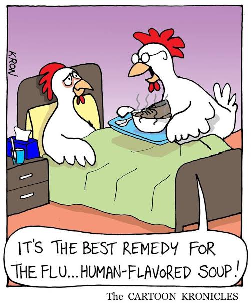 The Flu.jpg