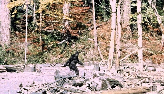 The Sasquatch 640px-Patterson_Gimlin_Bigfoot.jpeg
