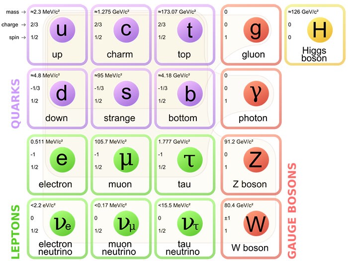 The Standard Model.jpeg
