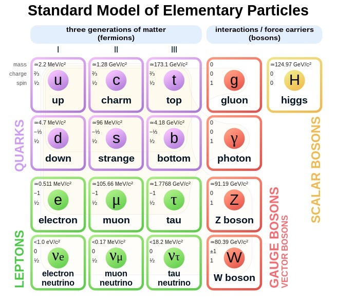 The Standard Model.jpg