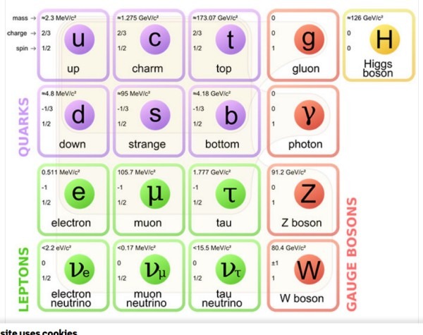 The Standard Model.jpg