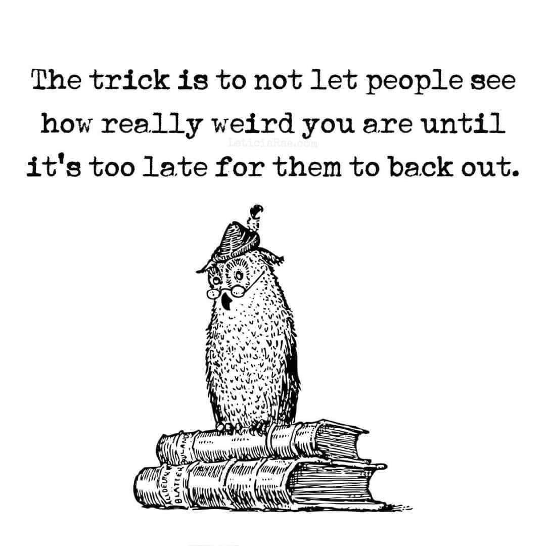 The Trick Is.jpg