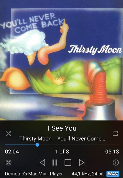 Thirsty Moon - You'll Never.jpg
