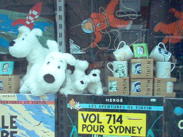 TinTin Collectables.jpg