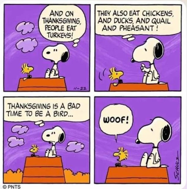 tnxgvng snoopy.jpeg