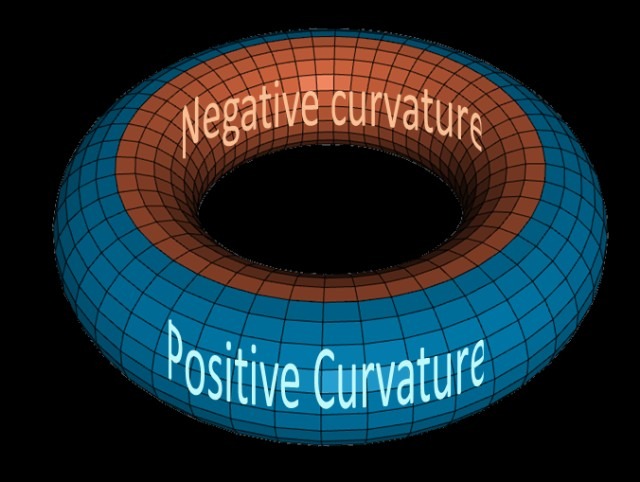 Torus Curvature.jpg