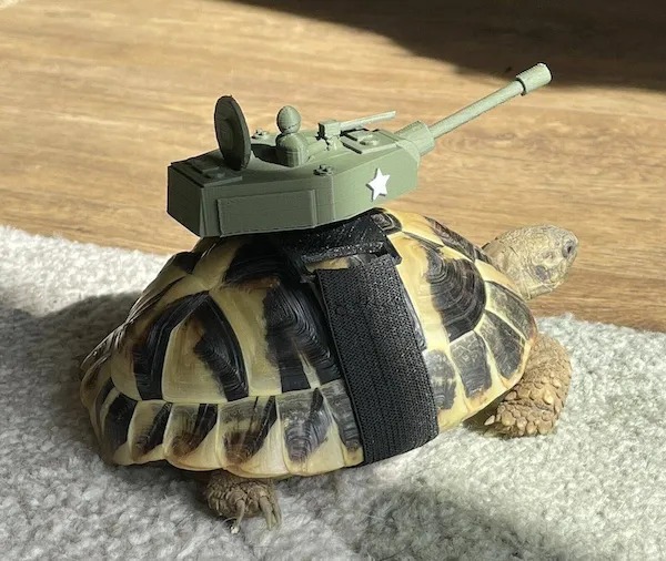 TurtleTank.jpg