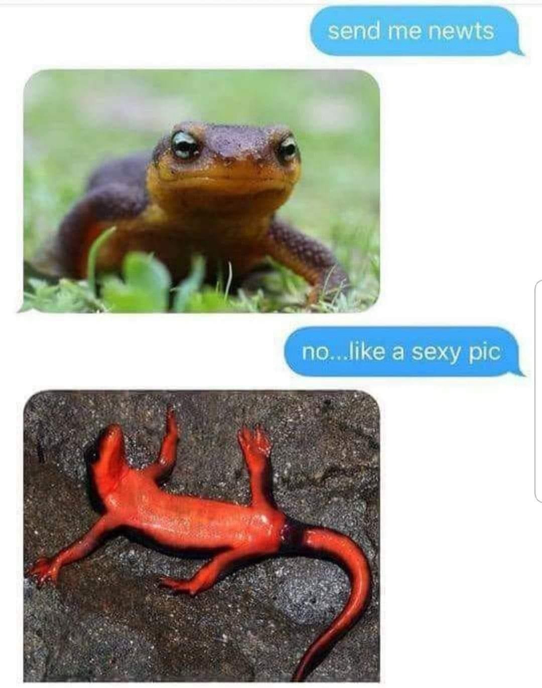 UhLOVWN.jpeg