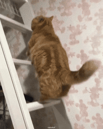 up.gif