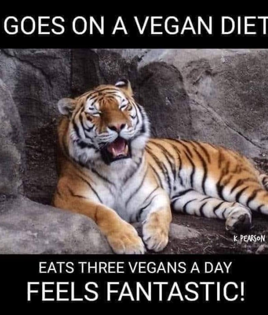 Vegan Diet.JPG