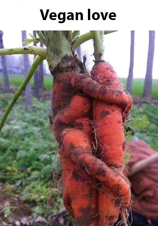 vegan.jpg
