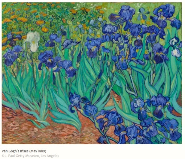 Vincent Van Gogh Irises.jpg