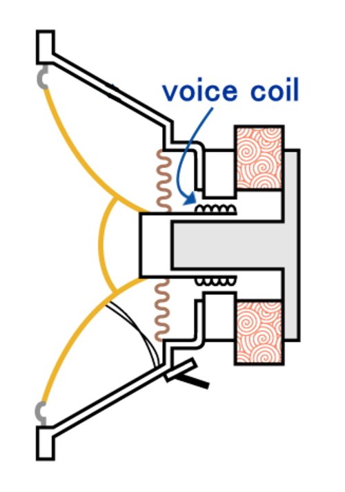 voice coil.jpg
